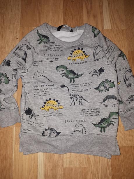 Šedá mikina s dinosaury 86 george, george,86