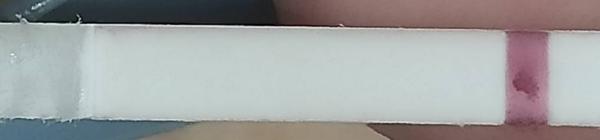 Je těhotenský test po menstruaci spolehlivý?