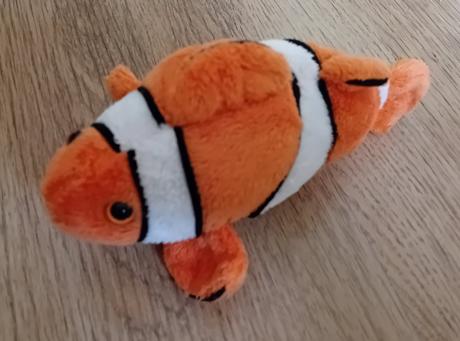 Nemo,
