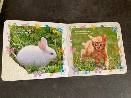 Kniha s říkankami, 