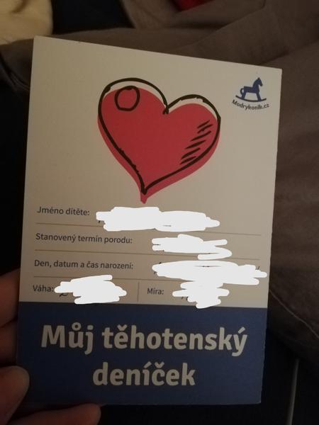Kde sehnat těhotenský deníček pro nastávající maminky?