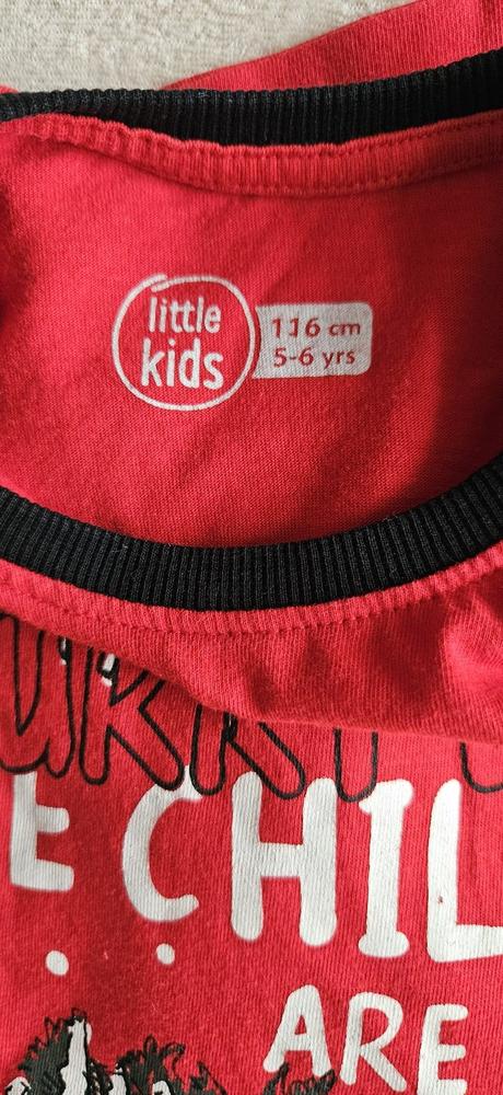 2x chlapecké tričko, halloween a vánoční, 110/116, pepco,110