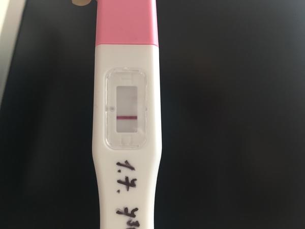 Testujeme tt společně🙂