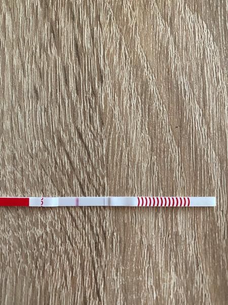 Těhotenský test. Vidíte tam něco?