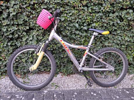 Dětské kolo lion 20, 20