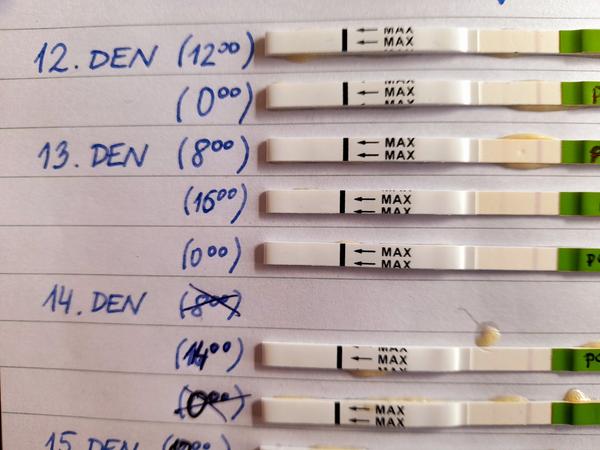 Je moje ovulace podle testu správně zaznamenána?