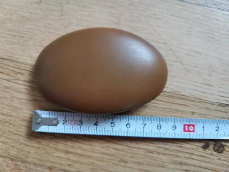 Skřipec sponka dívčí sponka kytička,