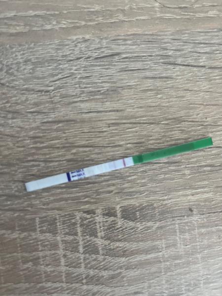 Může Norethisteron zabránit ovulaci a ovlivnit plodnost?