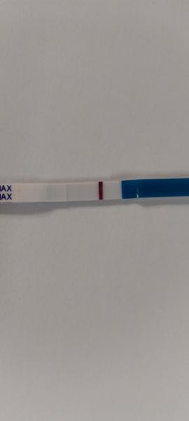 Zkušenosti s těhotenským testem Clearblue a Dr. Max