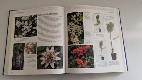 Kniha praktická encyklopedie zahrady,