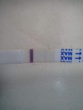 Těhotná? Co myslíte?