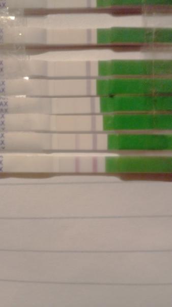 Ovulační test, je pozitivní?