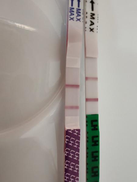 Jak zvýšit šance na početí druhého dítěte?