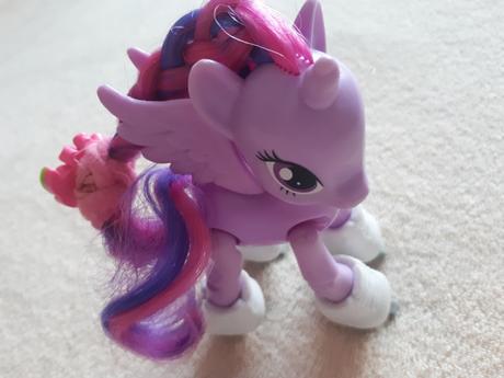 My little pony s bruslemi a jiní poníci,