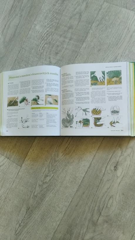 Abc úspěšného zahradníka, 