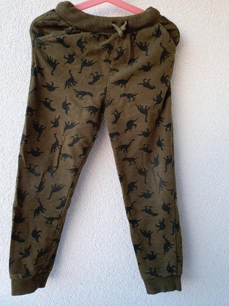 Tepláky s dinosaury, sinsay,122