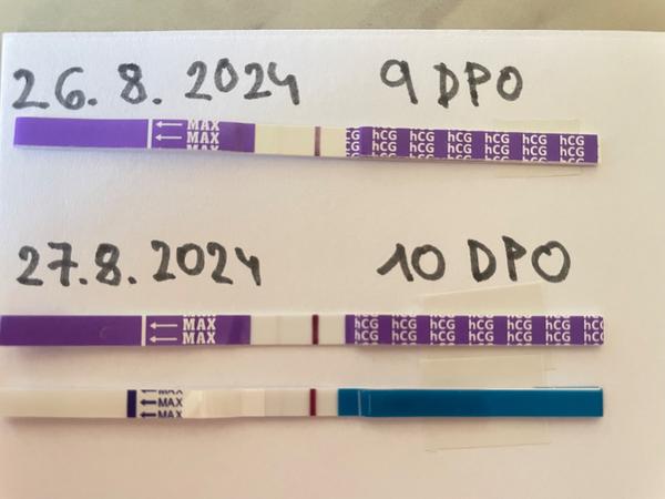 Je možné otěhotnět po užívání hormonů?