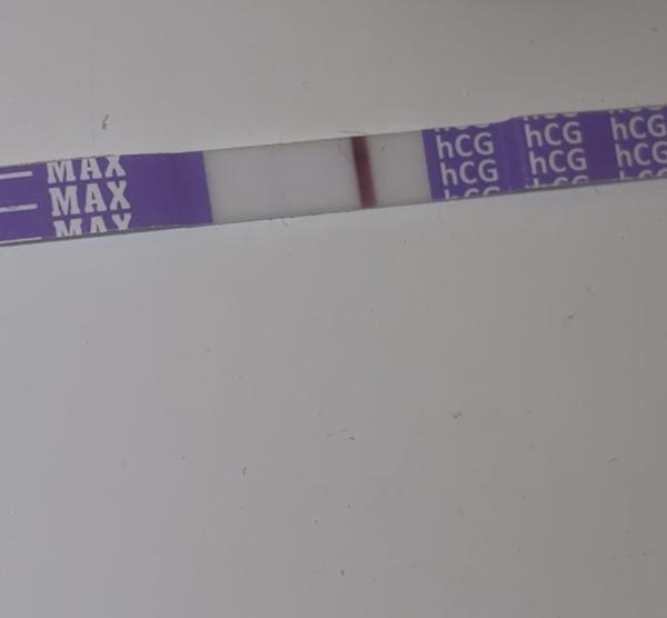 Test - je tam něco?
