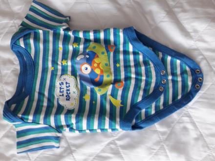 Body, st. bernard,68