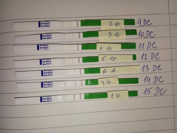Ovu test. Co si o tom mám myslet?