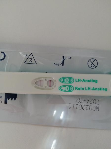 Je spolehlivý ovulační test pro detekci těhotenství?