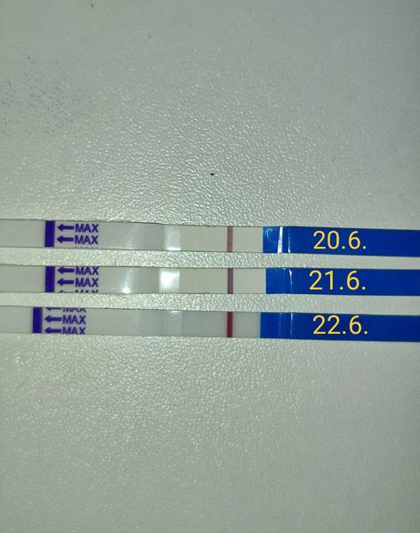 Sílící duch a očkování na covid. Jít se očkovat, nebo se tomu raději vyvarovat?