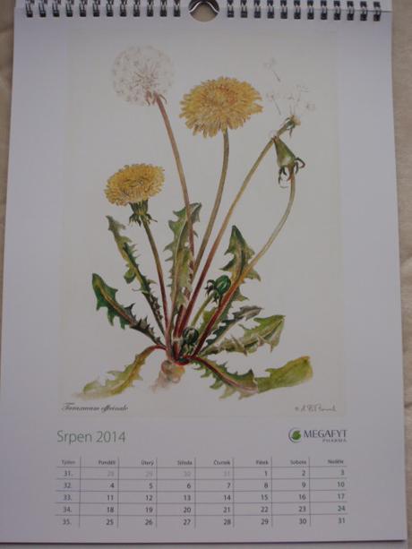 Kalendář nástěnný-na stěnu 2014, 