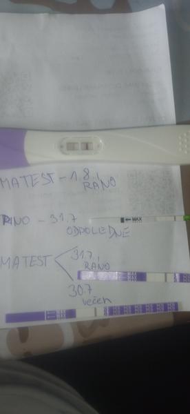Pozitivní těhotenský test nebo jen ryska? Co myslíte?
