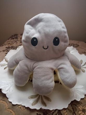 Chobotnice plyšová,