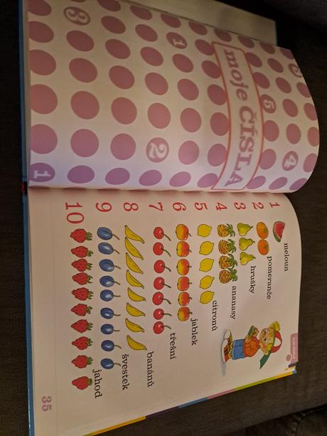 Co všechno už vím než půjdu do školy,