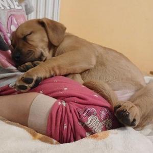 Dávka roztomilosti od @mamikajuli 😍