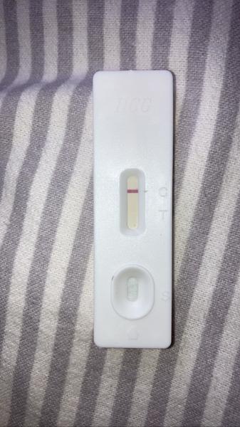 Ryska nebo duch? Jak rozpoznat těhotenský test?