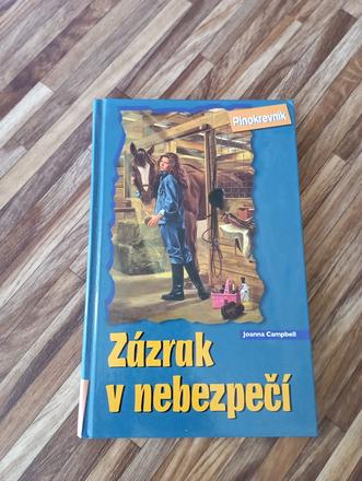 Zázrak v nebezpečí, 