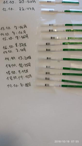 Maminky proběhla ovulace?