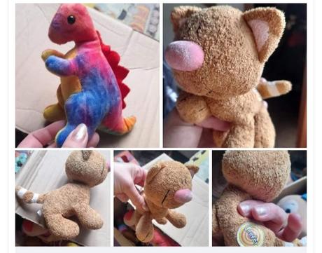 Barevný dinosaurus a kočička, 