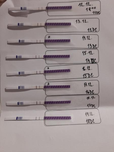 Vyplatí se navštívit lékaře při obtížích s ovulací?