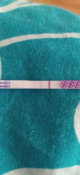 Ovulační test celý měsíc stejný. Zkusit jinou značku?