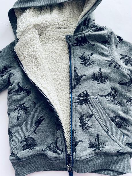 Mikina zateplená s dinosaury - v.18/24 měs, nutmeg,92