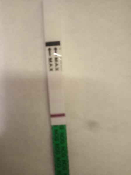 Těhotenský test...