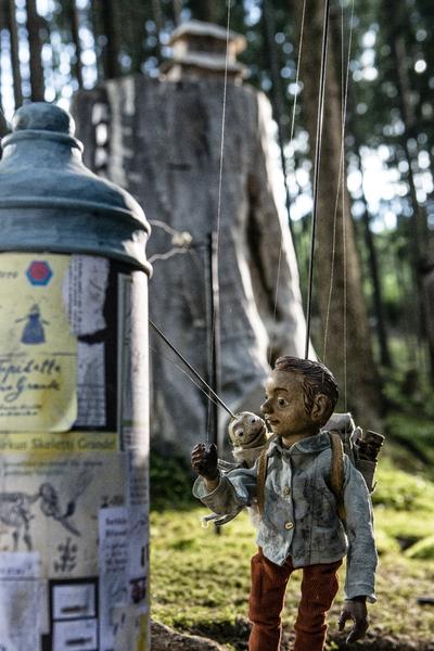 Nesplněný dětský / pohádkový sen.