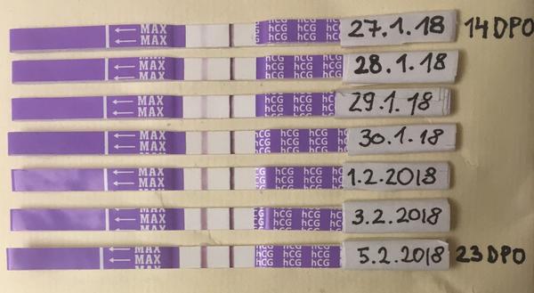 Kdy bude na těh. testu testovací proužek stejně sytý jako kontrolní?