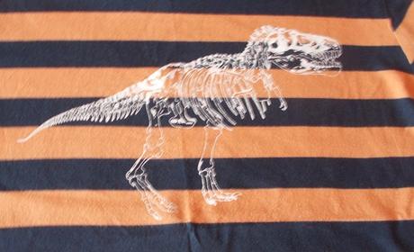 Chlapecké triko krátký rukáv dino tu, tu,146