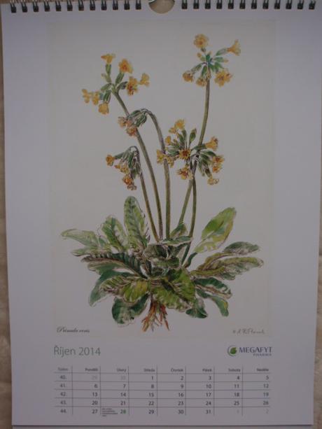 Kalendář nástěnný-na stěnu 2014, 