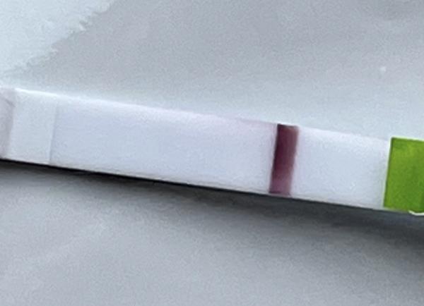 Vidíte něco na testu provedeném brzy?