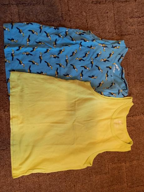 Balíček letního oblečení kluk 110/116, 104–116