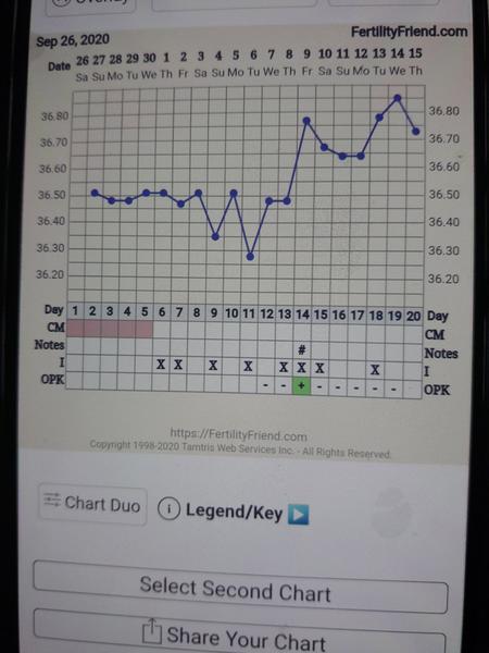 Prosím pomoc. Byla ovulace? A kdy?