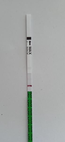 Máte šanci na těhotenství po 12 dnech od IUI?