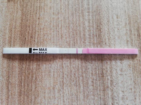 Ovulační test. Co si myslíte o výsledku?