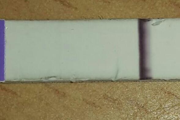 Čárka na testu zmizela