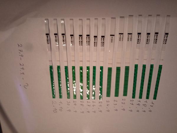 Ovulační test - je pozitivní?